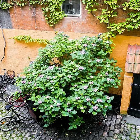 Strandgade * Copenaghen