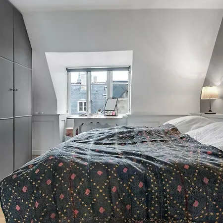 Cosmopolitan And Cozy Flat In The Center Of Cph Apartment *