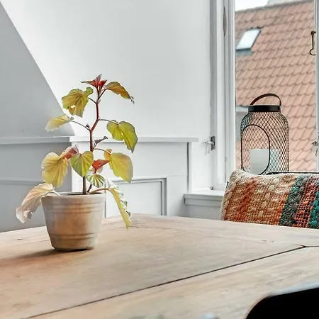Apartment Cosmopolitan And Cozy Flat In The Center Of Cph Copenhagen