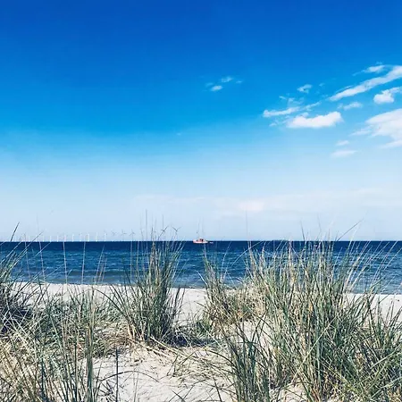 Cph / 60m2 * Copenaghen