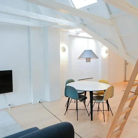 Διαμέρισμα Impressive Penthouse In The Heart Of Κοπεγχάγη