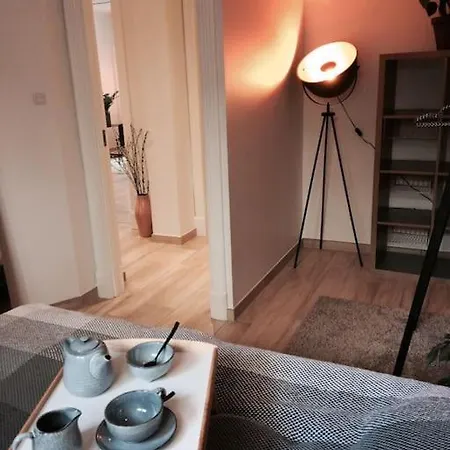 Mezzanine Design Furnished & 3m2 For Center Appartement
