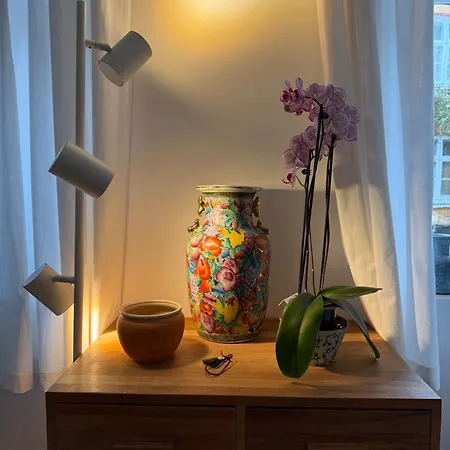 Cozy Chambers With Sunny Garden