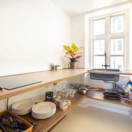 Historical Downtown Apartment Kopenhagen