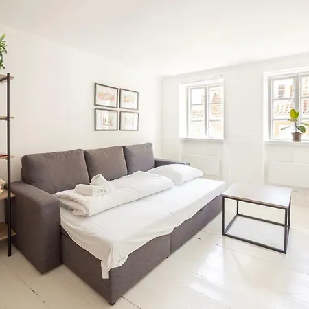Historical Downtown Apartment Kopenhagen
