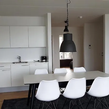 公寓 Three-Bedroom Apartment In Copenhagen - Nordre Teglkaj 12 哥本哈根