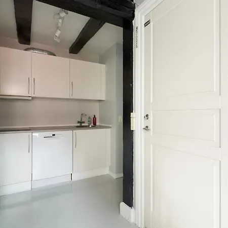 Unique 2 Bedroom Duplex W Exposed Beams In Cph * Copenhaga