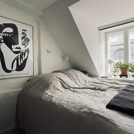 カントリーハウス Apartmentincopenhagen 1597