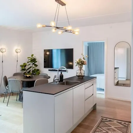 Apartament Delux Danish 2024 3bedrooms And 2 Bathrooms Kopenhaga