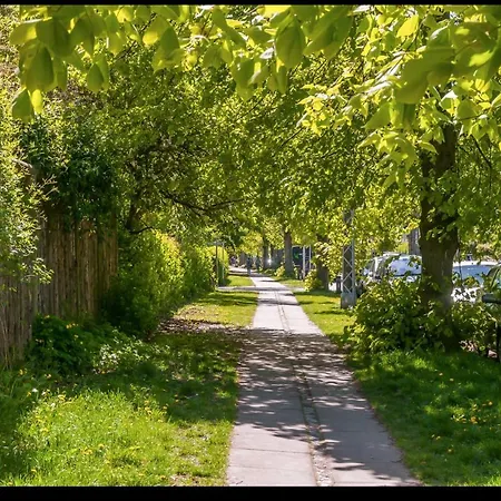 Oaky Lägenhet *