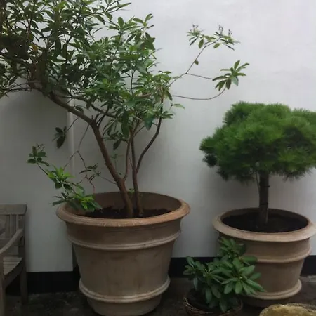 Korfuvej.rent.a.room 3*