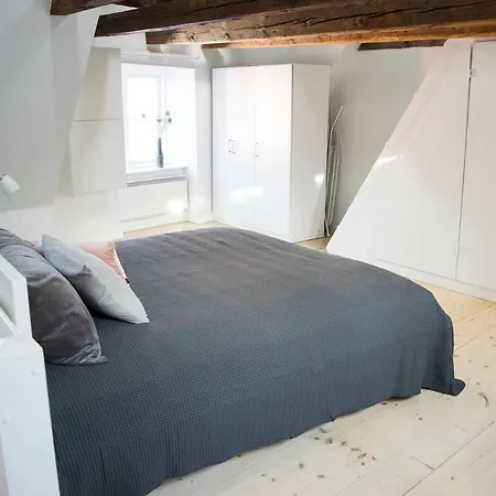 Super Central Apt W Loft * Köpenhamn